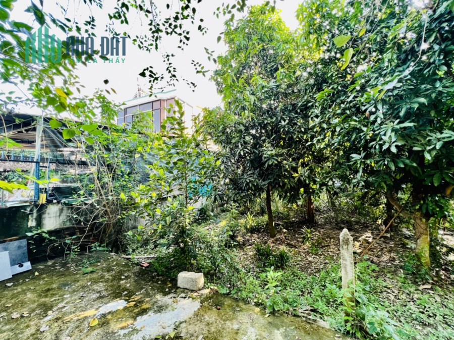 CẦN BÁN LÔ ĐÂT TẠI THÔN PHÚ VINH, VĨNH THẠNH, NHA TRANG , KHÁNH HOÀ. VỚI DIỆN TÍCH 215M2