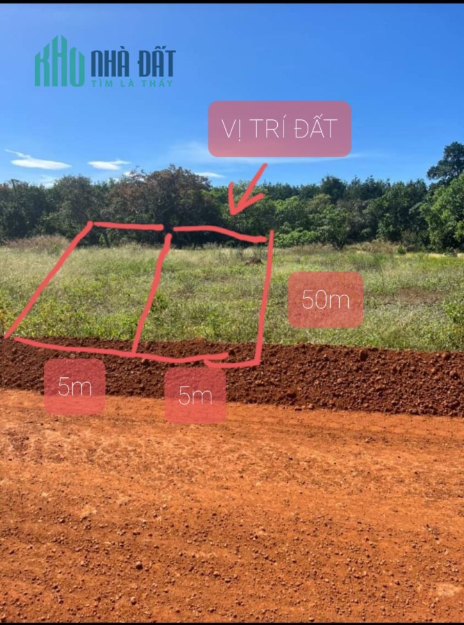 Bán gấp đất thổ cư ngay trung tâm huyện 250m2 , 100m TC chỉ với 300tr