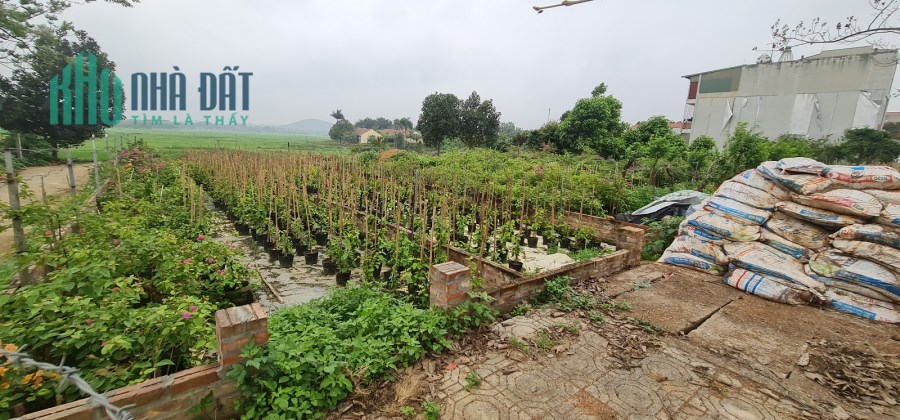 Bán gấp đất thị xã Sơn Tây, Hà Nội - Miễn TG