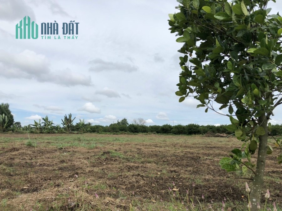 Cần bán gấp mảnh vườn tại Bà Rịa Vũng Tàu giá rẻ