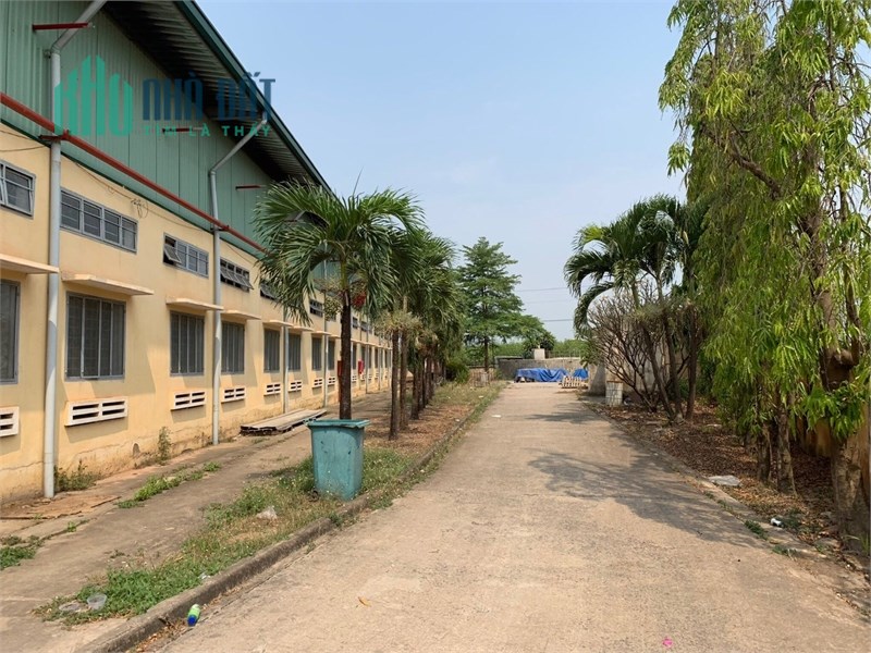 cần bán , chuyển nhượng toàn bộ dây chuyền, công nhân. hợp đồng. xã tân an,