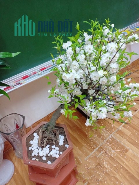 [CỰC HOT] Chính chủ cần bán căn nhà đẹp vị trí đắc địa tại Trung tâm phố Trần Nhân Tông, Hai Bà