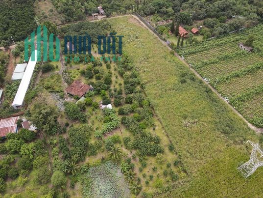 Đất thổ cư 100, diện tích: 98.4 m2, cạnh gemskyworld, Giá chỉ từ: 17 tr/m2