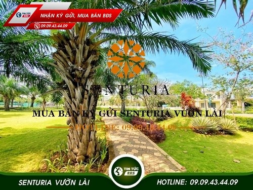 BÁN GẤP BIỆT THỰ SENTURIA VƯỜN LÀI Q12  SENTURIA AN PHÚ  HOTLINE: 0909434409