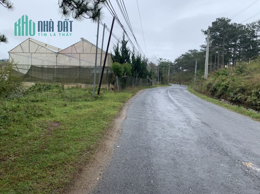 Cần Bán gấp lô đất Đường Cam Ly, Phường 7 giá chỉ 3 triệu/m2