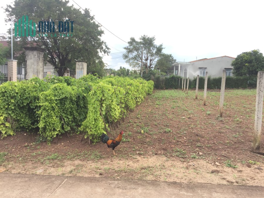 CHÍNH CHỦ BÁN GẤP LÔ ĐẤT ĐẸP XÃ HÒA KHÁNH, TP BUÔN MA THUỘT-GIÁ SIÊU ĐẦU TƯ