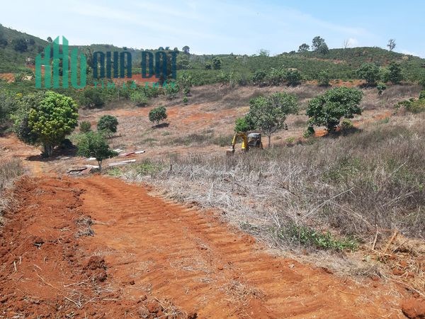 Bán 15800m2 Đất nông nghiệp tại xã Phi Tô - Huyện Lâm Hà - Tỉnh Lâm Đồng.