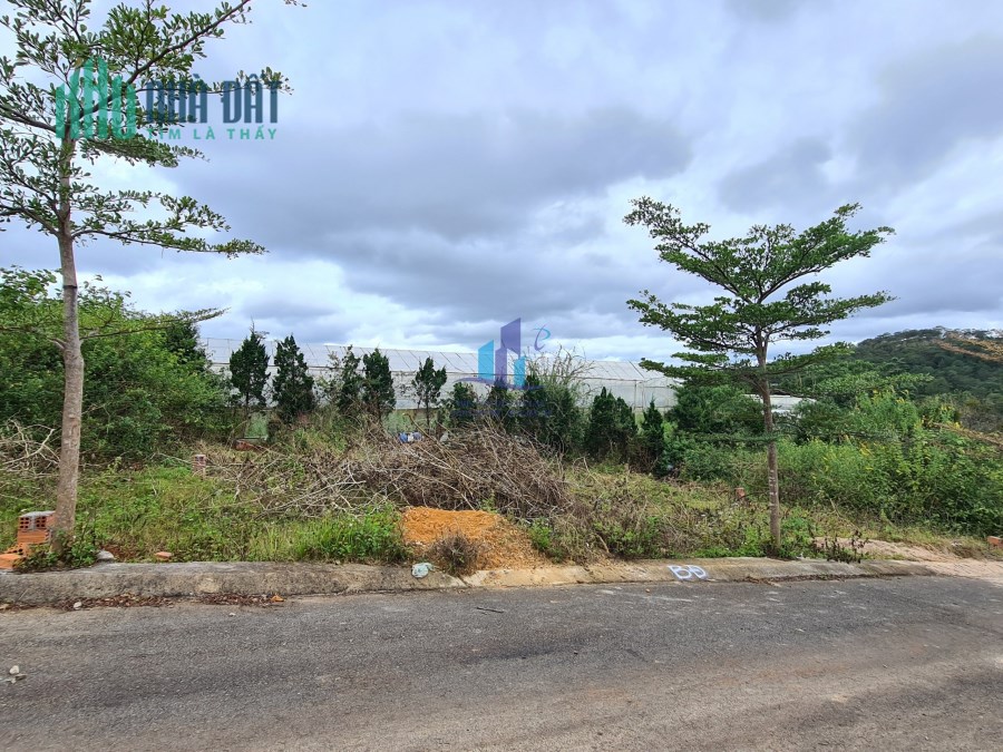 Bán đất Măng Line - P.7 - Tp. Đà Lạt