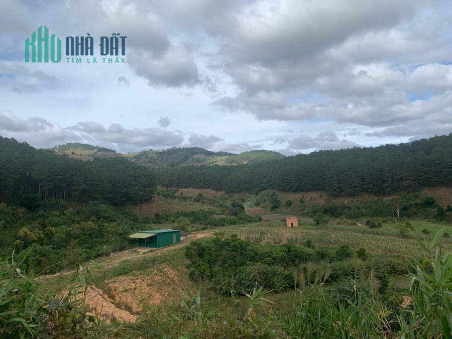 Cần tiền bán gấp đất rộng view đẹp tại Tà Nung, Đà Lạt 10730m2 giá tốt chỉ có 11.5 tỷ