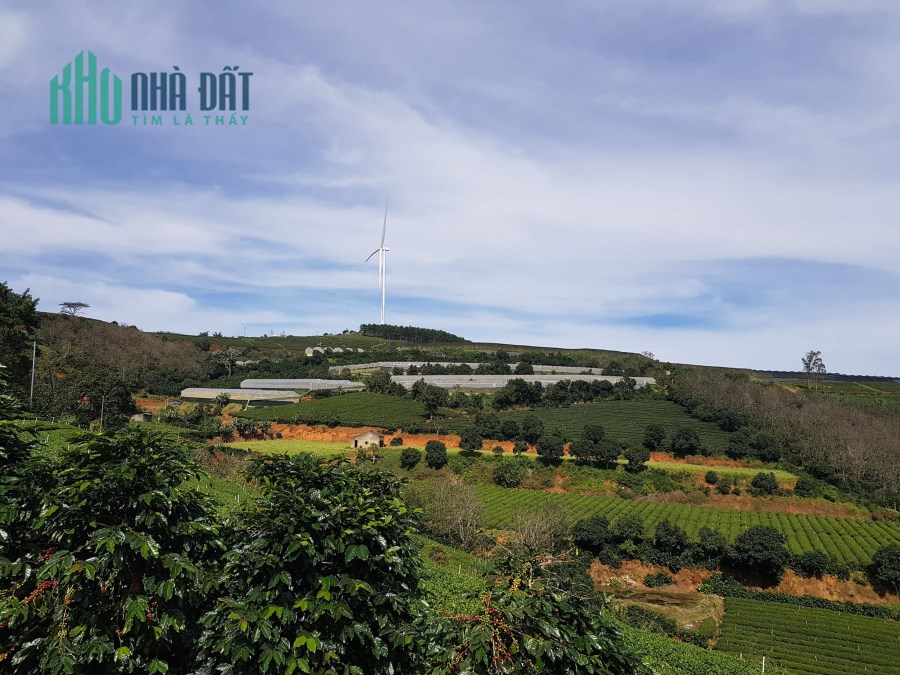 Cần bán gấp đất view đẹp tại Xuân Trường, Đà Lạt 5000m2