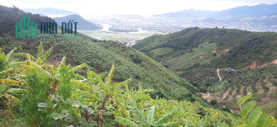 Bán rẫy 1,4ha Vĩnh Phương, Nha Trang Giá 150k/m²