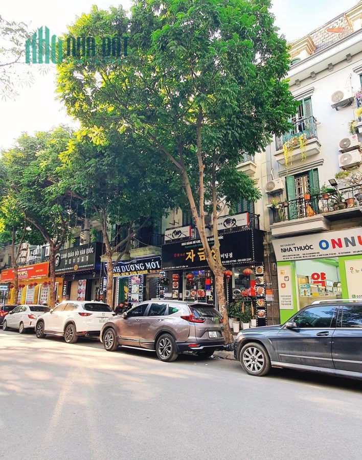 Mặt Phố Đỗ Đình Thiện, KĐT Mỹ Đình Sông Đà, 141.9m2, MT 6.6m, 38.5 tỷ