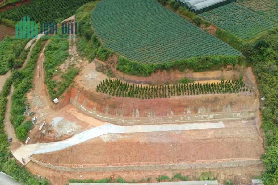 Bán gấp đất giá rẻ view đẹp tại Xuân Thọ, Đà Lạt 500m2 giá chỉ 1.7 tỷ
