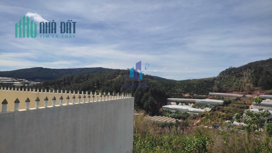 THÊM 1 EM SIÊU PHẨM GIÁ TỐT TẠI MĂNG LINE P7 ĐÀ LẠT