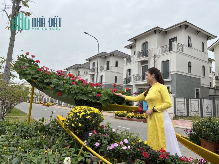 Bán gấp Đơn lập  Centa City TP Từ Sơn , view công viên và hồ , cách Long Biên 15 phút, giá rẻ .