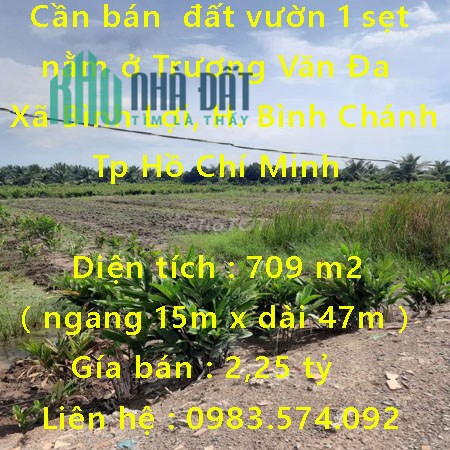 Cần bán 700m2 đất vườn 1 sẹt nằm ở Trương Văn Đa Xã Bình Lợi, Huyện Bình Chánh, Tp Hồ Chí Minh