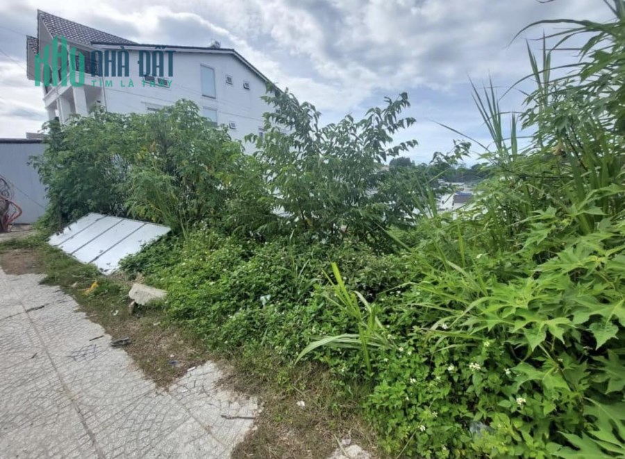 Bán lô đất 3 mặt tiền đường chính Nguyễn Đình Quân Đà Lạt