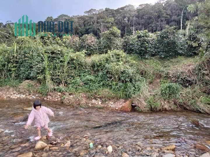 Khai xuân đầu năm – Cần bán lô đất tại Long Lanh, Đạ Chais, Lạc Dương, Lâm Đồng