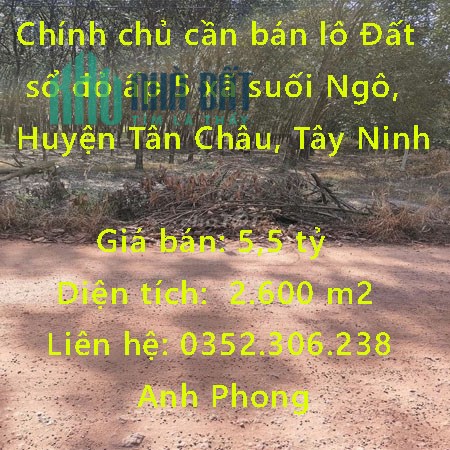 Chính chủ cần bán lô Đất sổ đỏ ấp 5 xã suối Ngô, Huyện Tân Châu, Tây Ninh