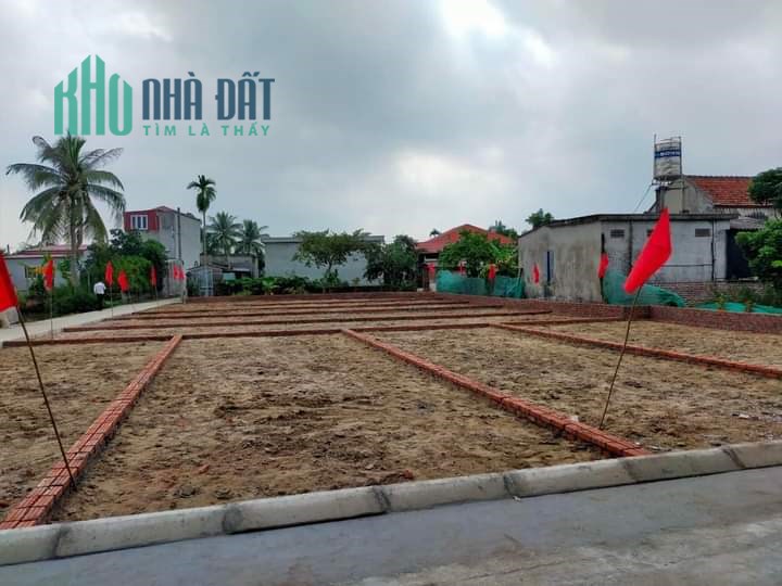cần bán lô đất giá rẻ ngay mặt đường nông thôn mới tại Tân Viên An Lão HP