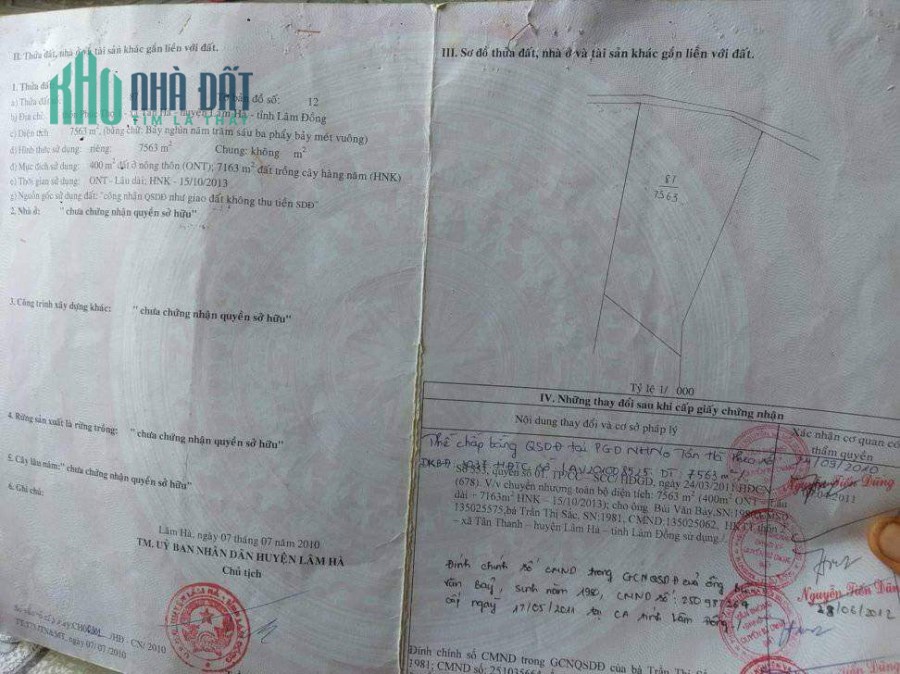 Bận công việc, gia đình cần bán mảnh vườn gần 8 sào tại Tân Hà, Lâm Hà