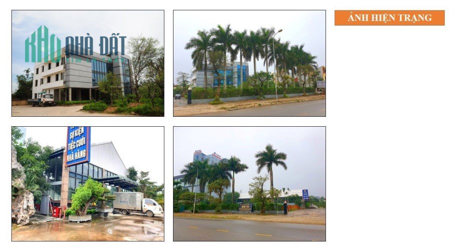 DỰ ÁN ĐẤT VÀNG – THƯƠNG MẠI DỊCH VỤ THANH HÓA.