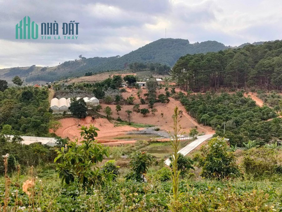 Bán đất làm farm trang trại tại Tà Nung Đà Lạt gần 3 hecta