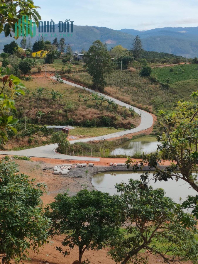 Bán đất làm farm trang trại tại Tà Nung Đà Lạt gần 3 hecta