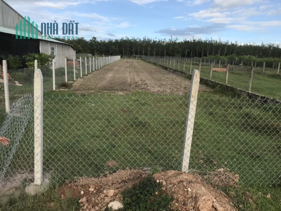 Đầu năm mới, chính chủ bán giá ưu đãi lô đất nền thổ cư (sổ hồng) tại ấp Suối Cao B