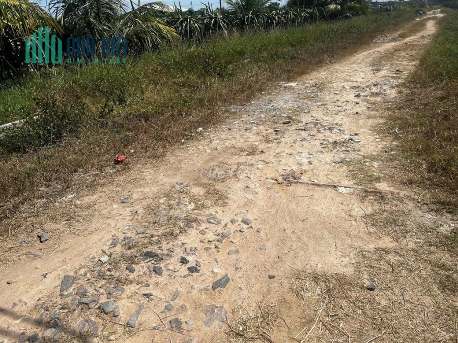 CHÍNH CHỦ BÁN 2900m2 ĐẤT SỔ HỒNG RIÊNG GIÁ RẺ ĐƯỜNG HẢI THƯỢNG LÃN ÔNG