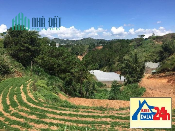 Bán gấp 2009m2 đất rộng view thoáng đường Nguyễn Hoàng, Đà Lạt