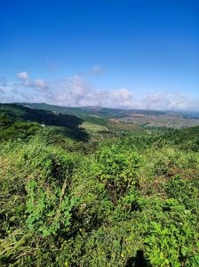 Chính Chủ Cần Bán Lô Đất Trung Tâm Vị Trí Đẹp Tại Đắk Nông