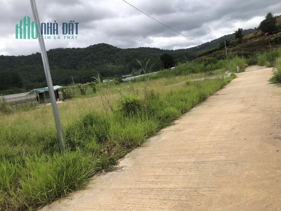 Bán Đất Đèo Mimosa View Đồi Thông P10 Đà Lạt