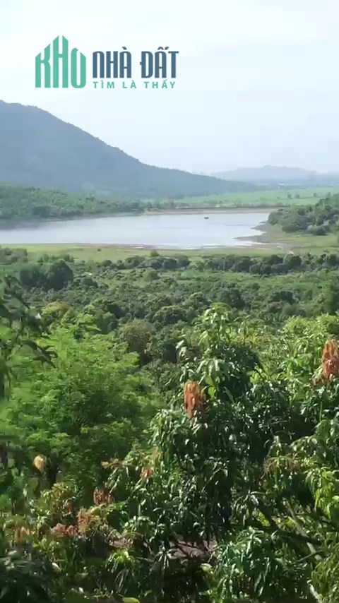 Vườn xoài 1,5ha Hồ Am Chúa-Diên Điền chỉ 1 tỷ 650tr