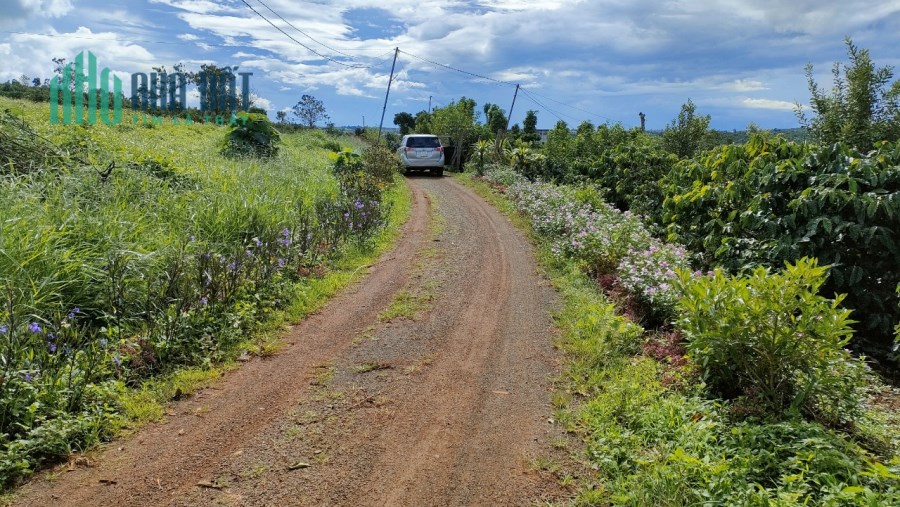 Chính chủ bán đất thổ cư Lâm Hà cách chợ Tân Hà chỉ 2km