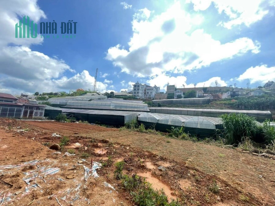 ( Gấp Gấp ) Cần bán 180m2 đất sổ NN view cực kỳ đẹp Nam Hồ, Đà Lạt