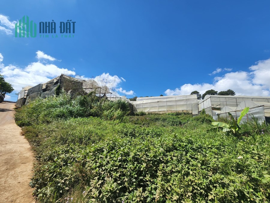 Cơ hội sở hữu 300m2 đất view thoáng Chỉ 4.2 tỷ đường Lâm Văn Thạnh, Đà Lạt