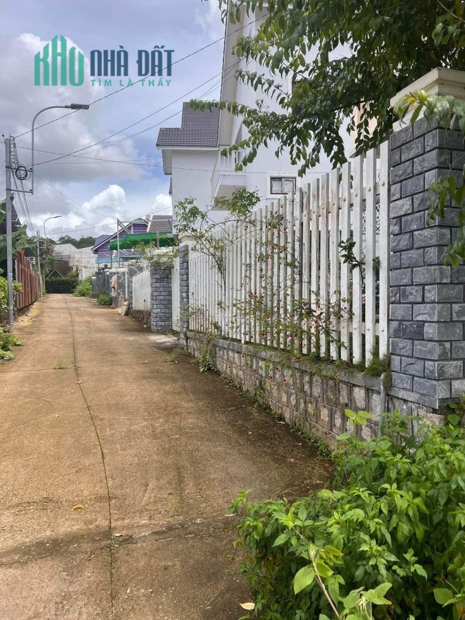 Đất Xây Dựng Khu Villa Mai Anh Đào P8 Đà Lạt