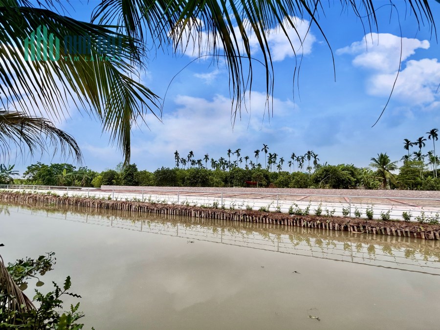 Bán đấ kinh doanh đường 6m