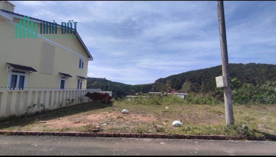 Bán Đất Xây Dựng View Thông Măng Lin P7 Đà Lạt