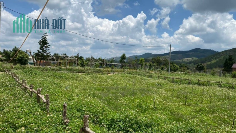 ( Giá tốt đầu tư ) Chỉ 2.9 tỷ - Sở hữu ngay 233m2 đất nền tại Tà Nung, Đà Lạt