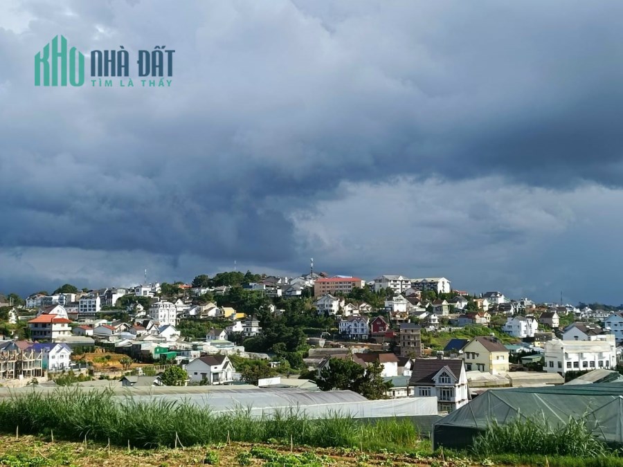 Bán gấp đất nền Biệt Thự mặt tiền đường Tô Hiệu, Đà Lạt 279m2 giá tốt chỉ 11.5 tỷ