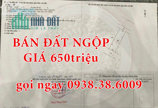 bán đất nền NGỘP,GIÁ RẺ đường Đức Hòa Hạ, giá 650triệu , sổ hồng riêng