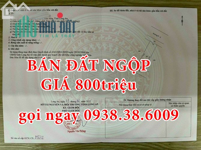 Cô Hoa bán đất NGỘP GIÁ RẺ, đường Nguyễn Văn Dương ,giá chỉ 800triệu