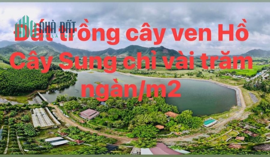 734m2 Siêu phẩm đất vườn ven Hồ Cây Sung, Diên Tân, Diên Khánh chỉ 345tr